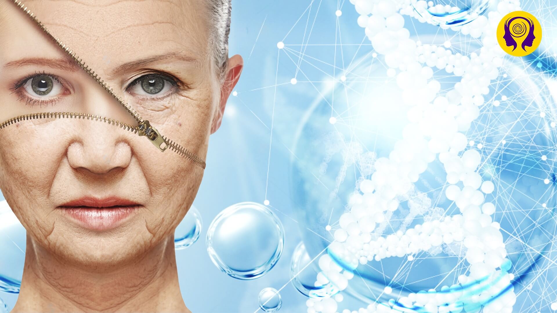 Fountain of Youth
